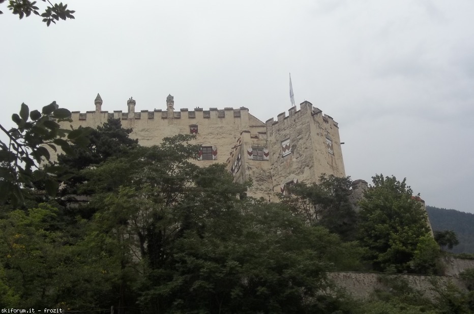 106159-1002158.jpg