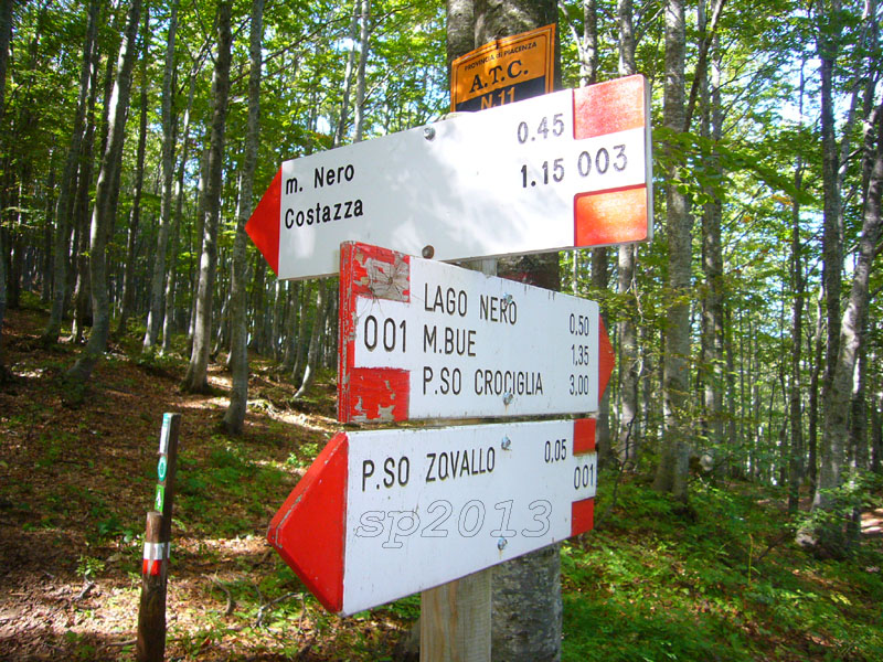 106424-p1190618.jpg