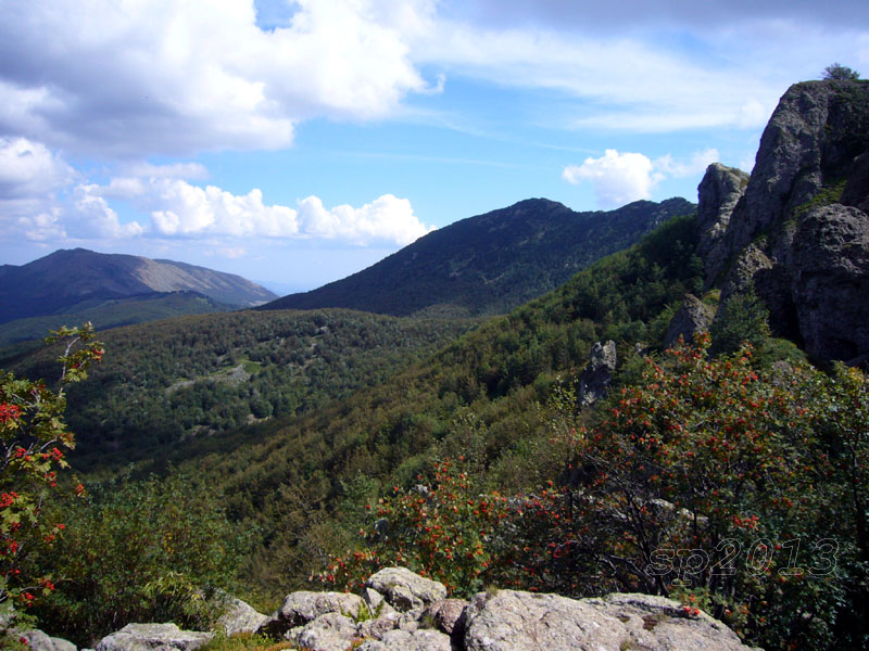 106435-p1190666.jpg