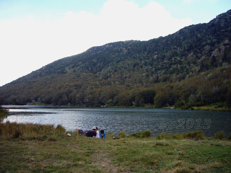 106438-p1190684.jpg