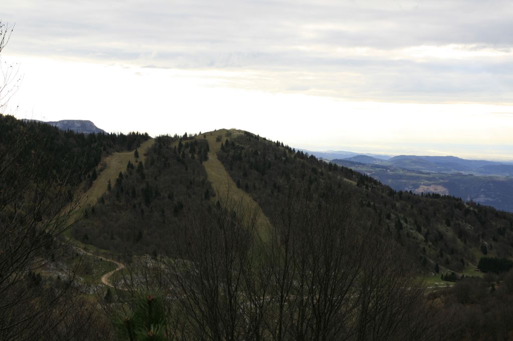 109608-mg5929.jpg