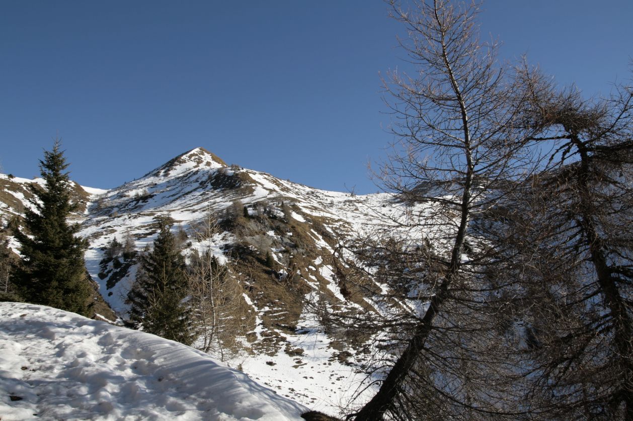 112788-croce-domini-valfredda-13-dic-2013-6.jpg