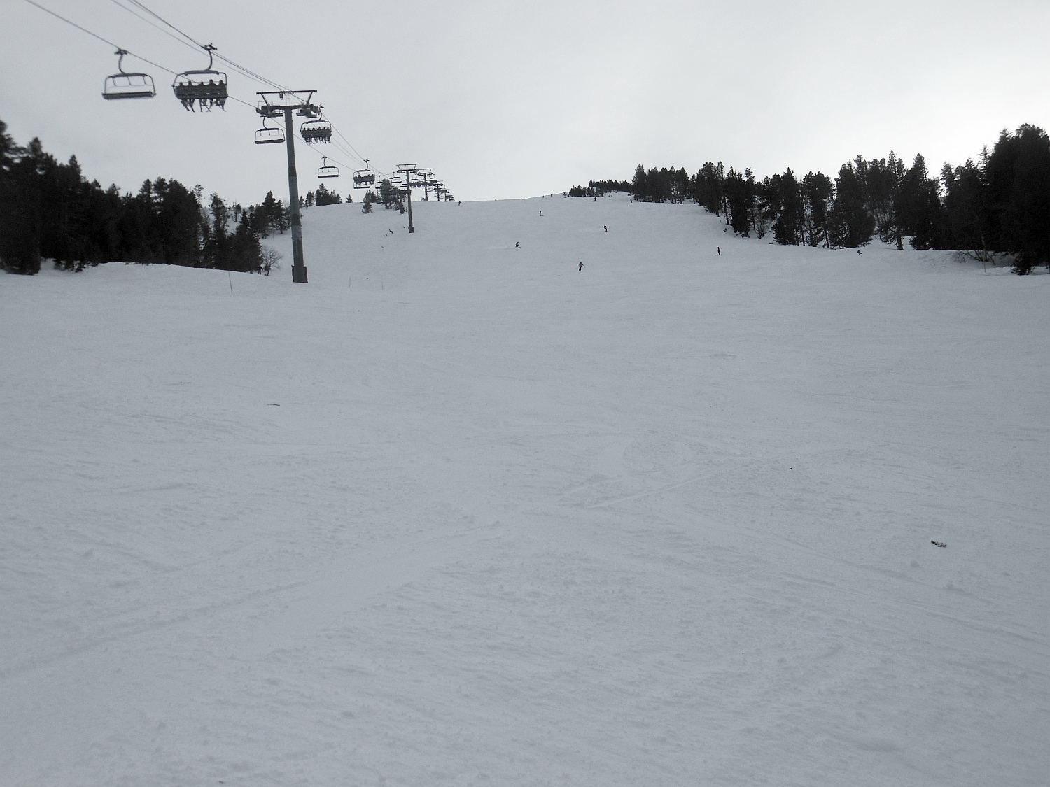 115043-2014-876.jpg