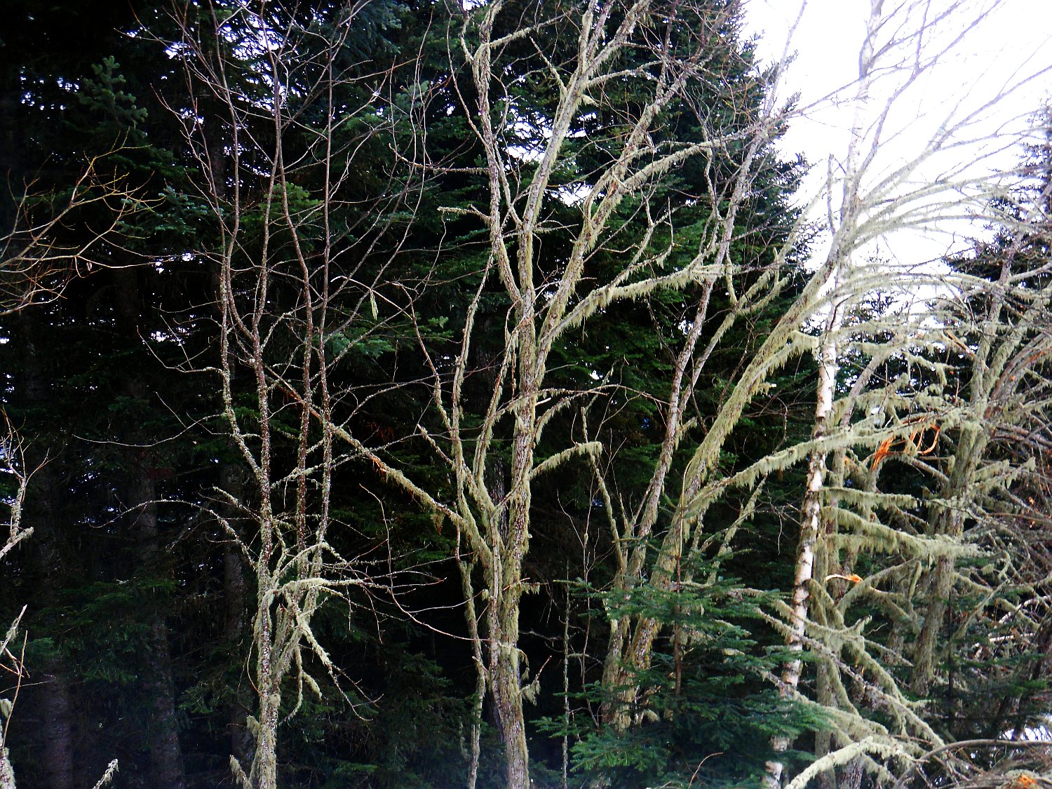 115046-2014-897.jpg