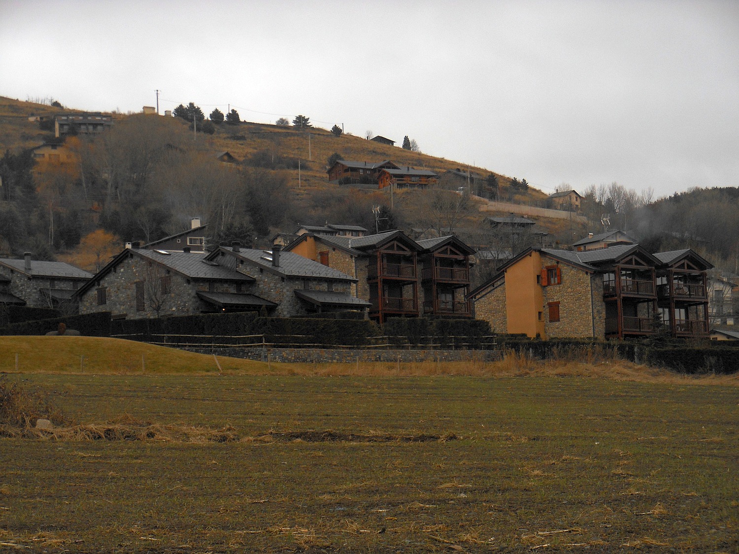 115225-2014-942.jpg
