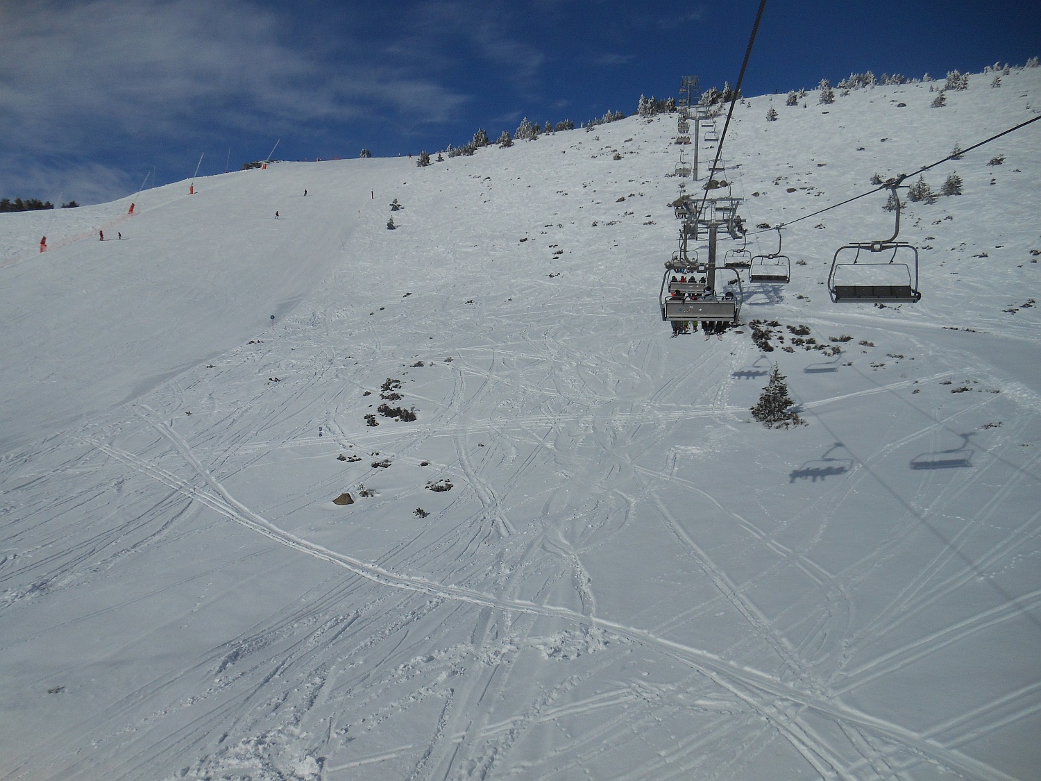 115241-2014-994.jpg