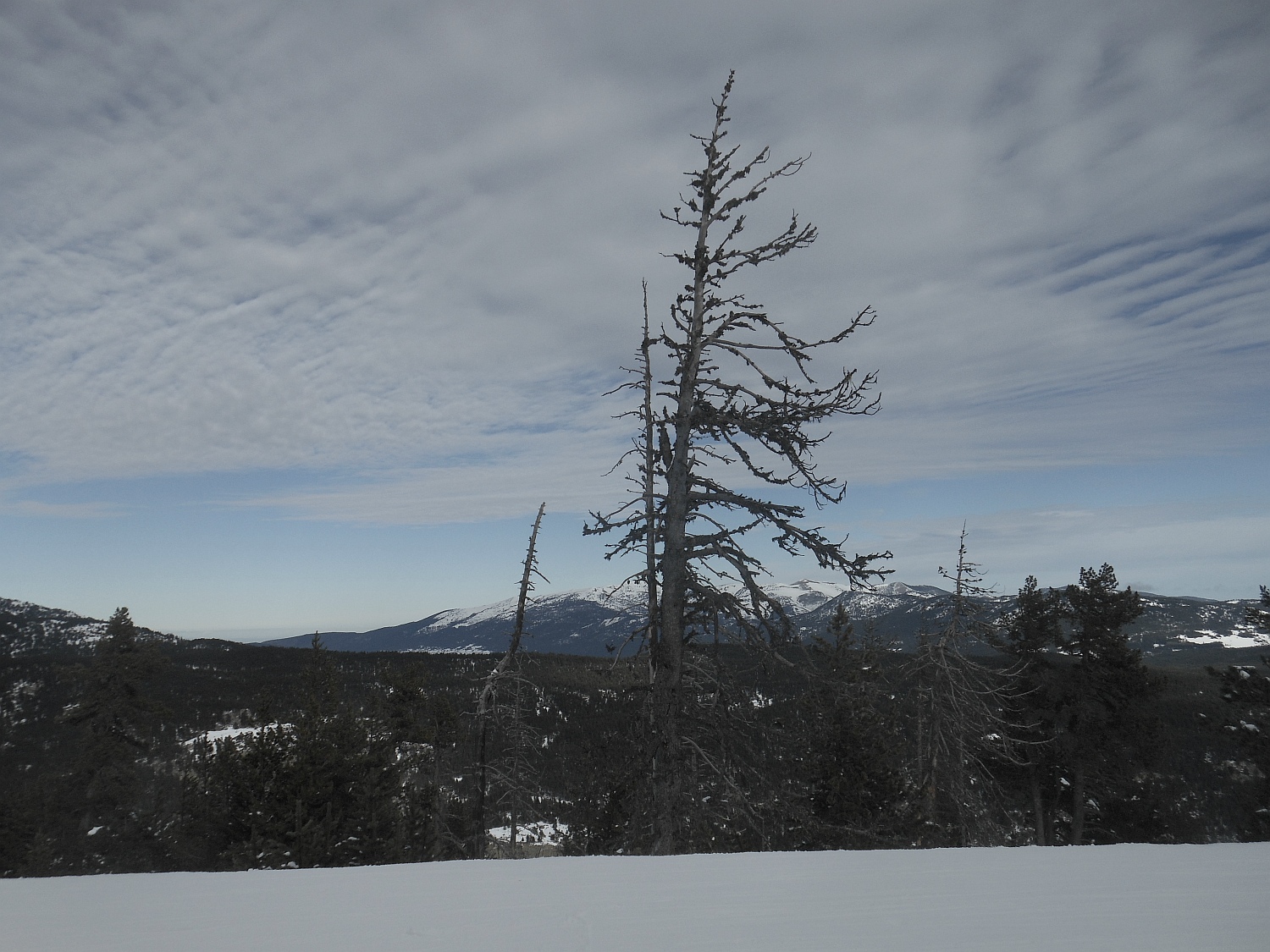 115296-2014-1122.jpg