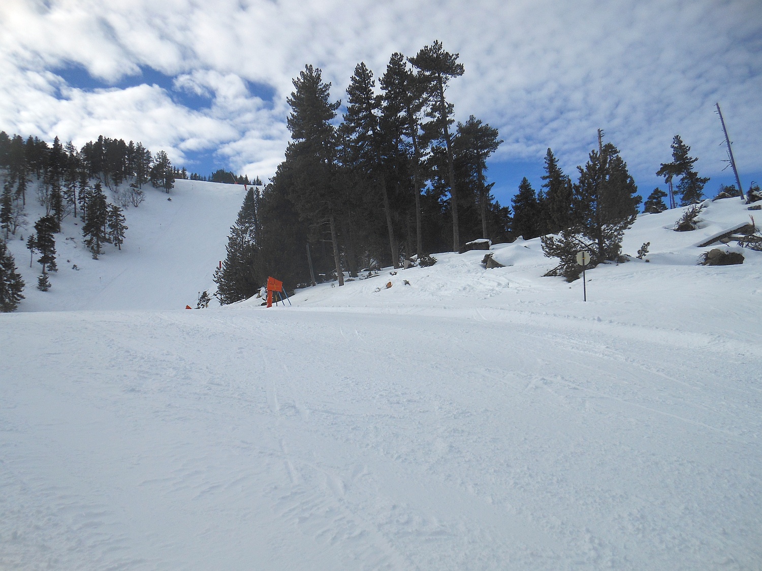 115298-2014-1125.jpg