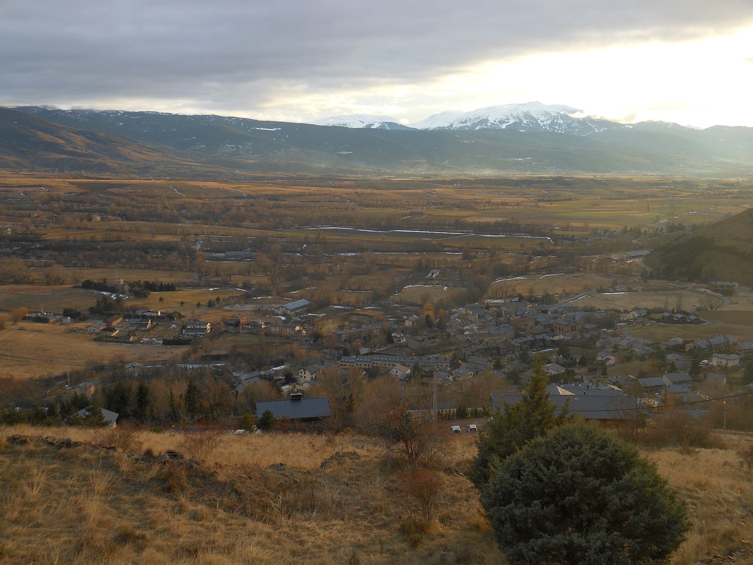115320-2014-1201.jpg