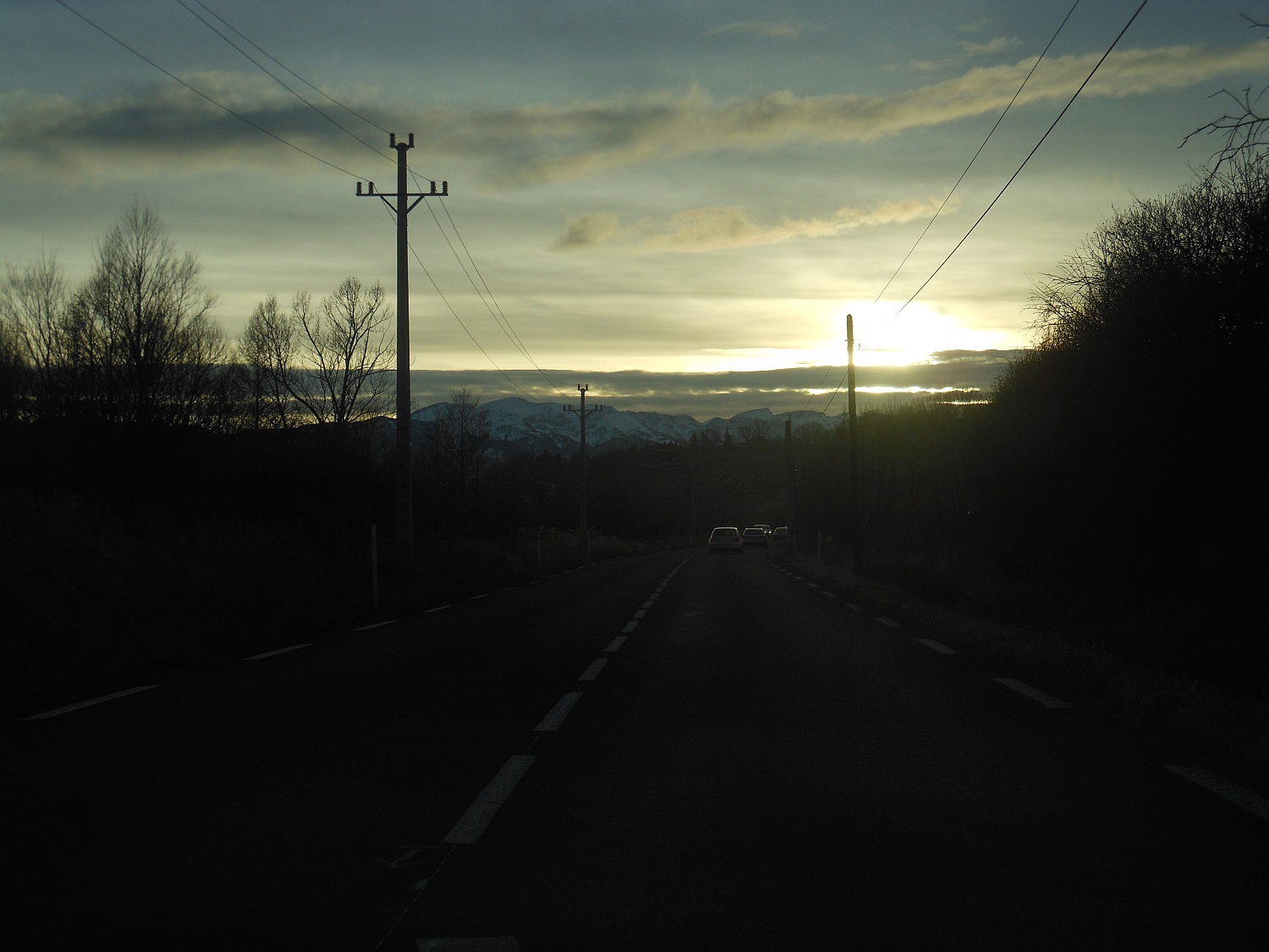115321-2014-1208.jpg