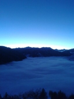 117754-image.jpg