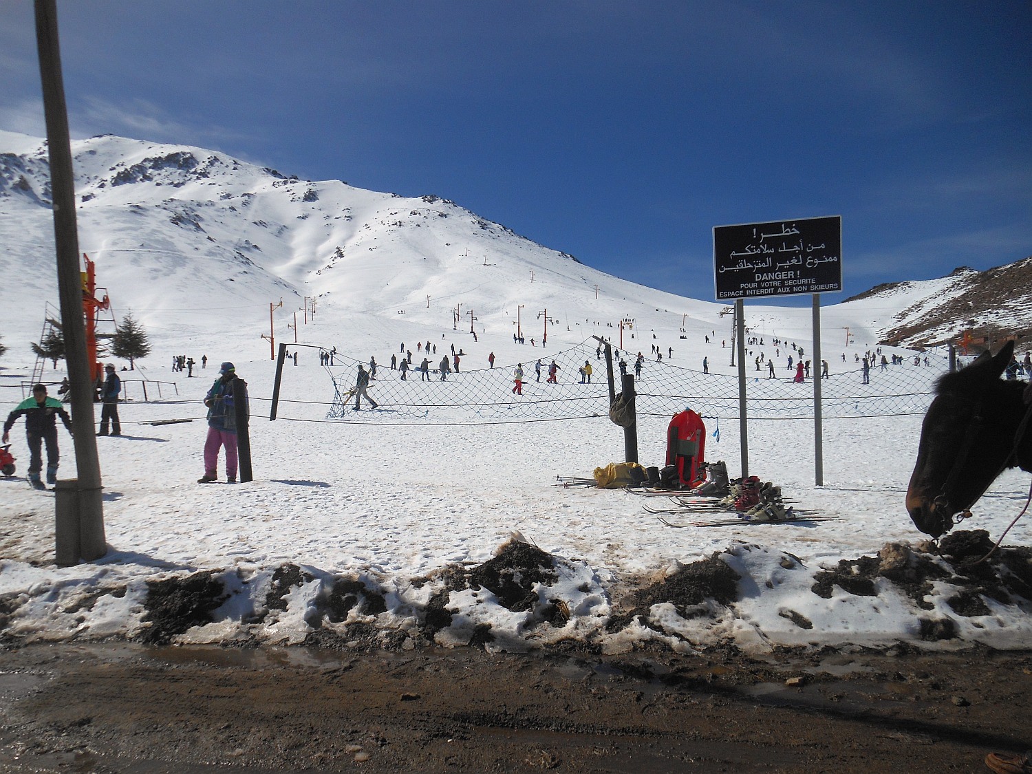 119352-mar2014-1212.jpg