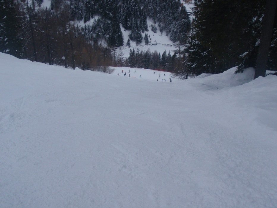 121169-p3040085.jpg