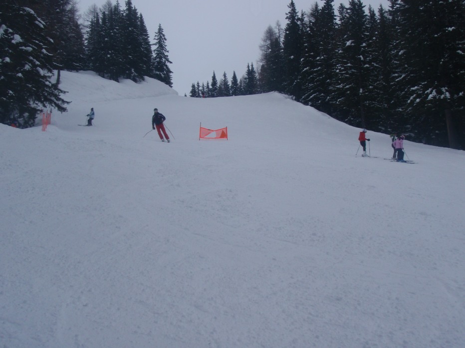 121170-p3040086.jpg