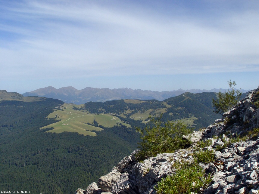 12288-cima-larici.jpg