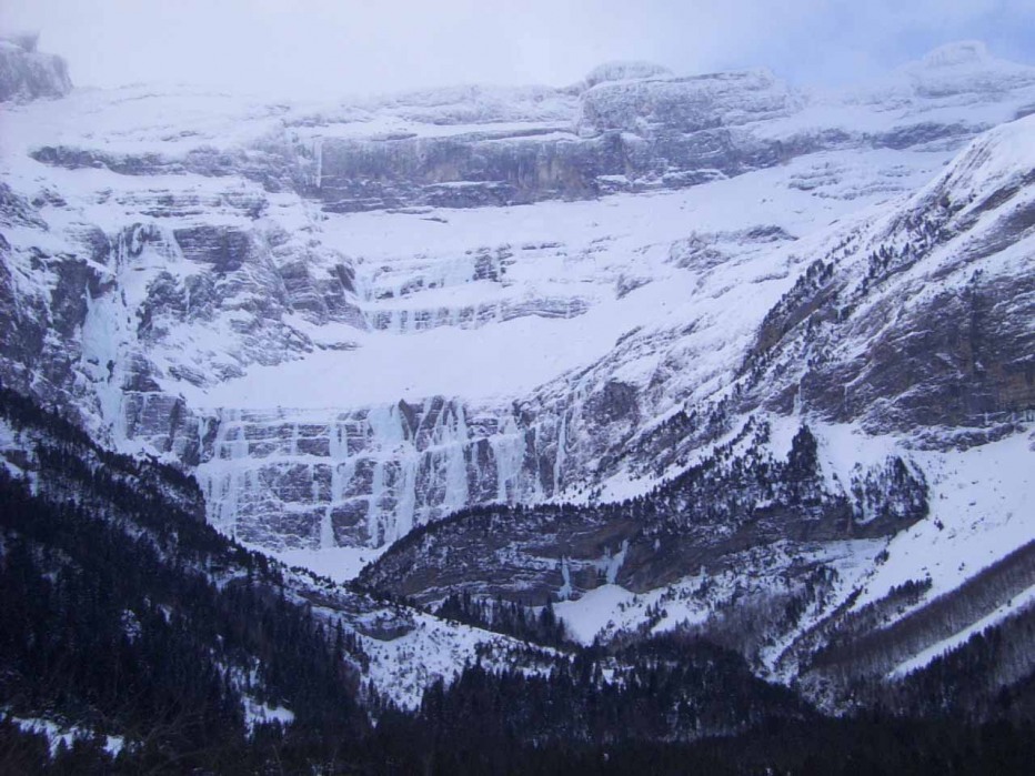 123442-wlf-invernale.jpg