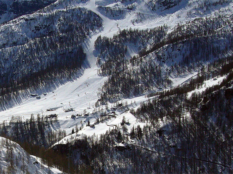 123723-wlf5.jpg