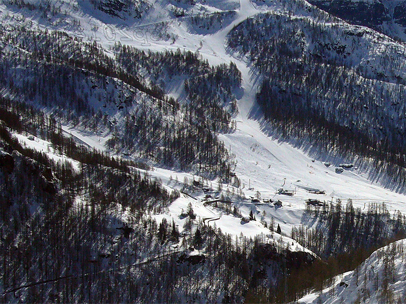 123794-wlf5.jpg
