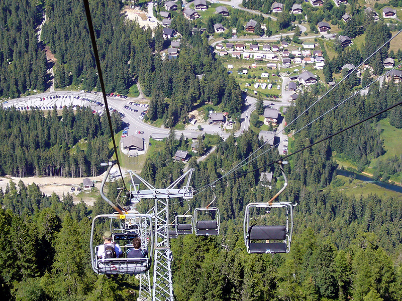 124180-wlf7.jpg