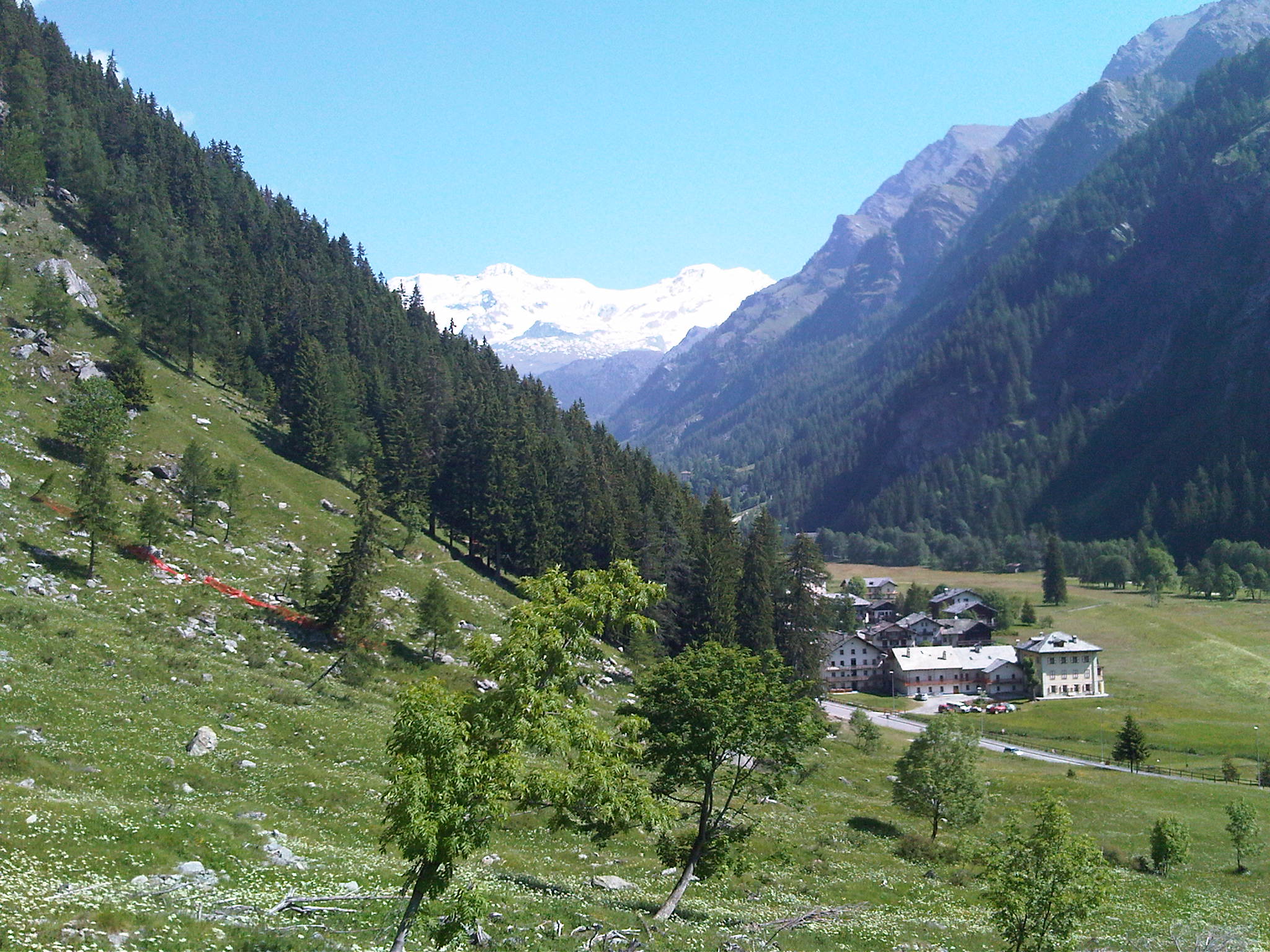 124259-img00017-20120616-1041.jpg