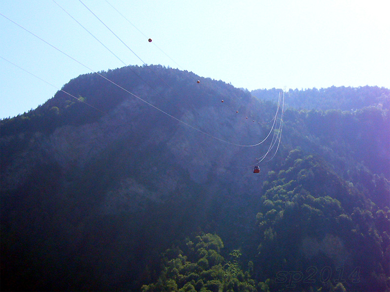 124981-wlfix.jpg