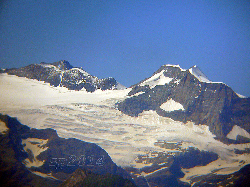 125742-wlfbinocolo.jpg