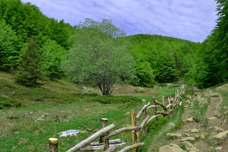 126791-monte-giovo-2-giugno-057-copia.jpg