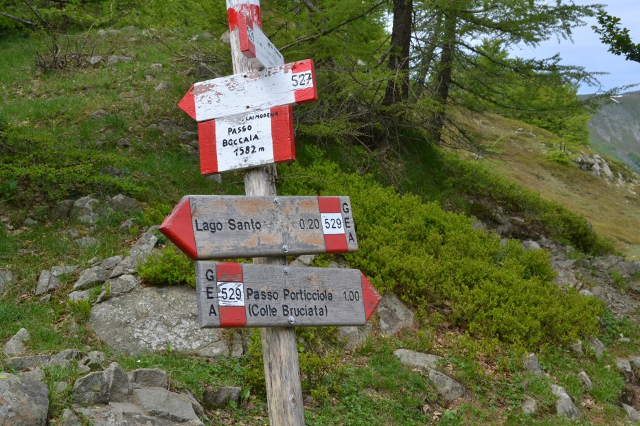 126793-monte-giovo-2-giugno-064.jpg