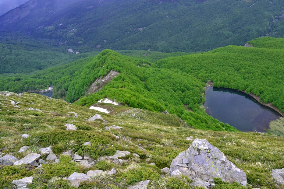 126802-monte-giovo-2-giugno-128-copia.jpg