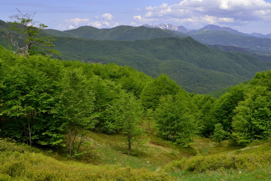 126809-monte-giovo-2-giugno-061-medium.jpg