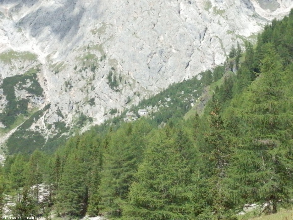 127769-p8010205.jpg