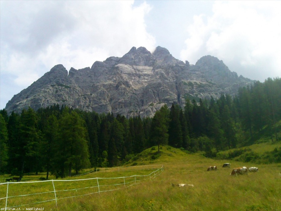 127792-foto0100.jpg