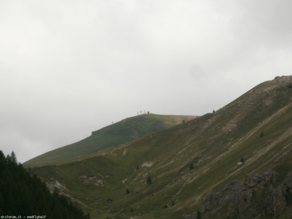 129218-p8182477.jpg