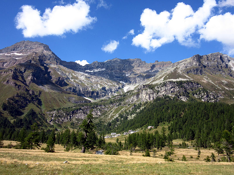 129743-img1614.jpg
