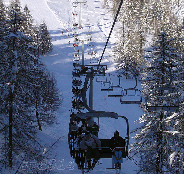 132512-wlf12.jpg