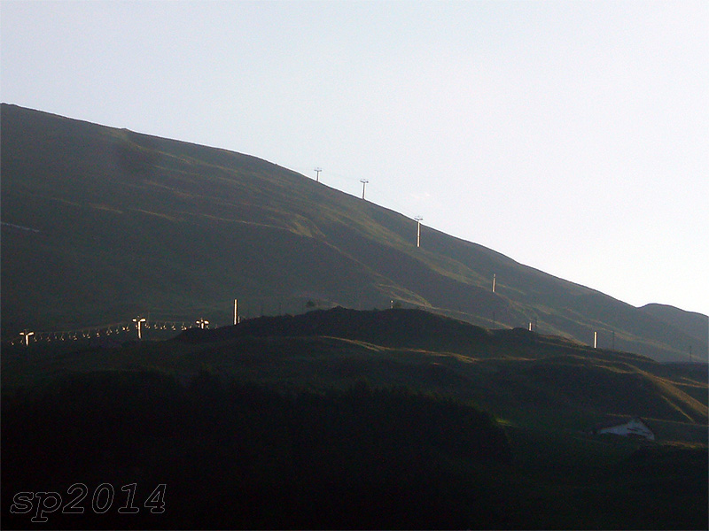 132956-wlf13.jpg