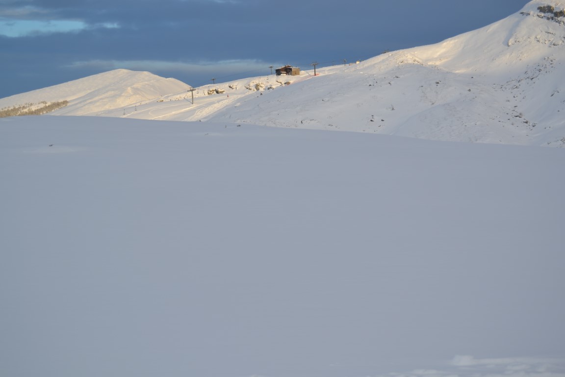 134207-neve-medium.jpg