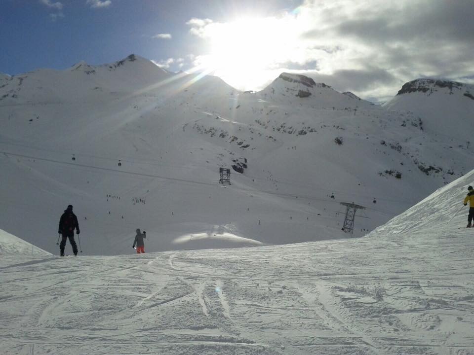 136934-image.jpg