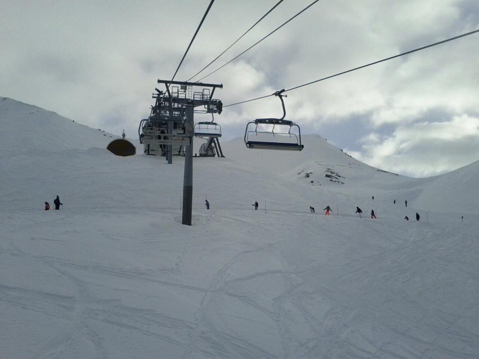 136943-image.jpg
