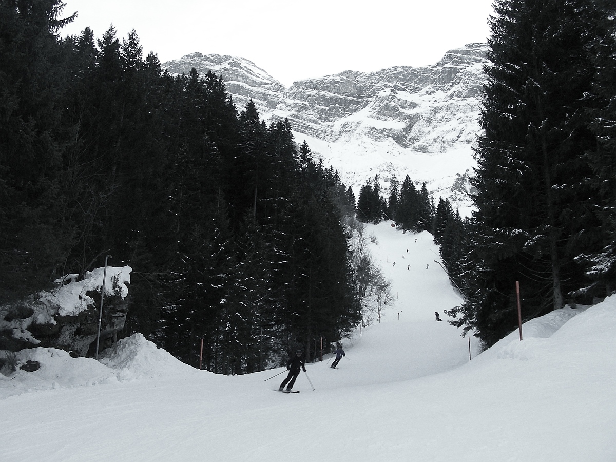 137215-dscn8449.jpg