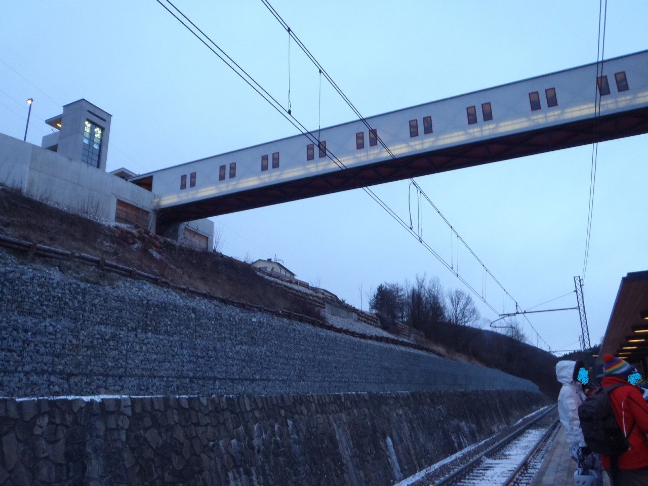 138530-s3.jpg
