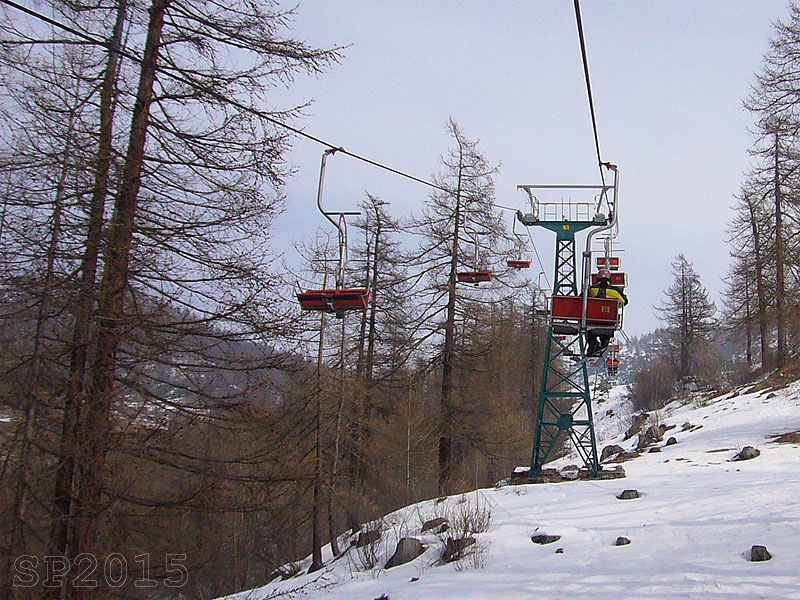 142128-wlf2.jpg