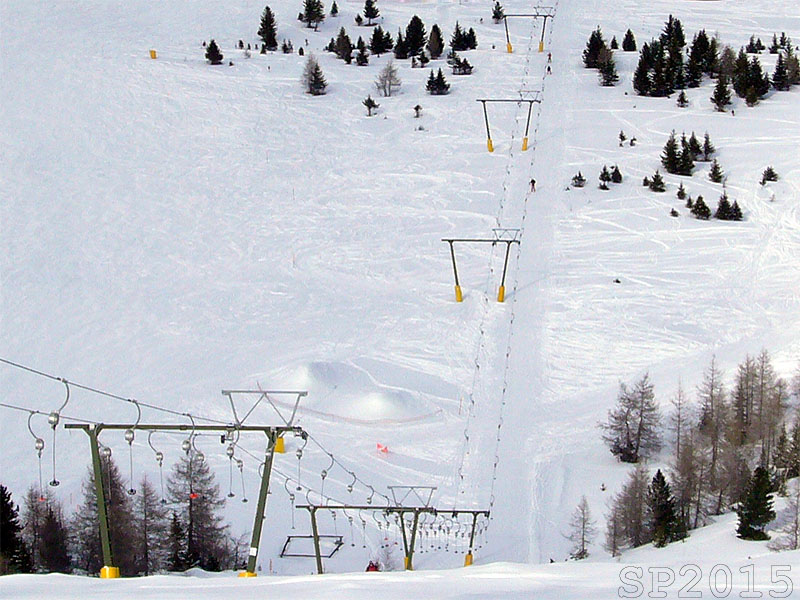 142953-wlf17.jpg