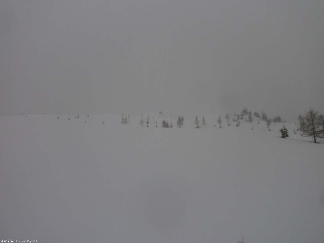 143313-p2223360.jpg
