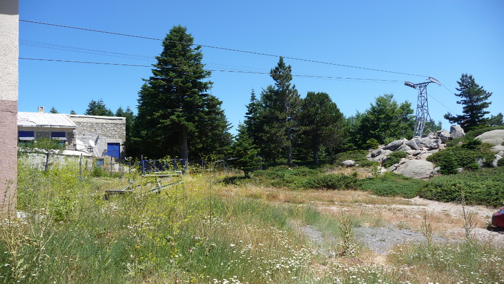 143925-wlf005.jpg