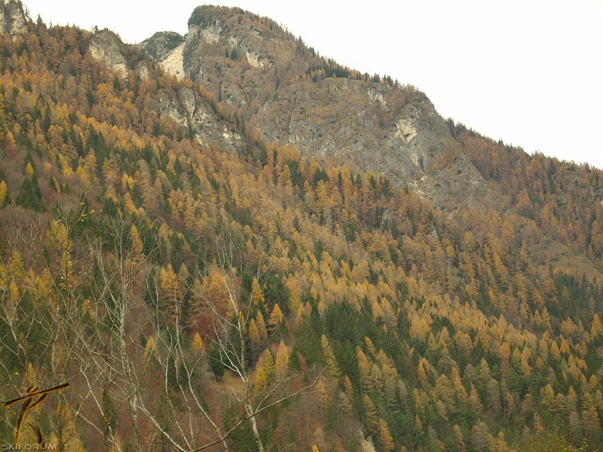 14484-arcobaleno-autunnale.jpg