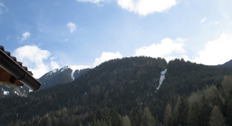 144903-boschi.jpg