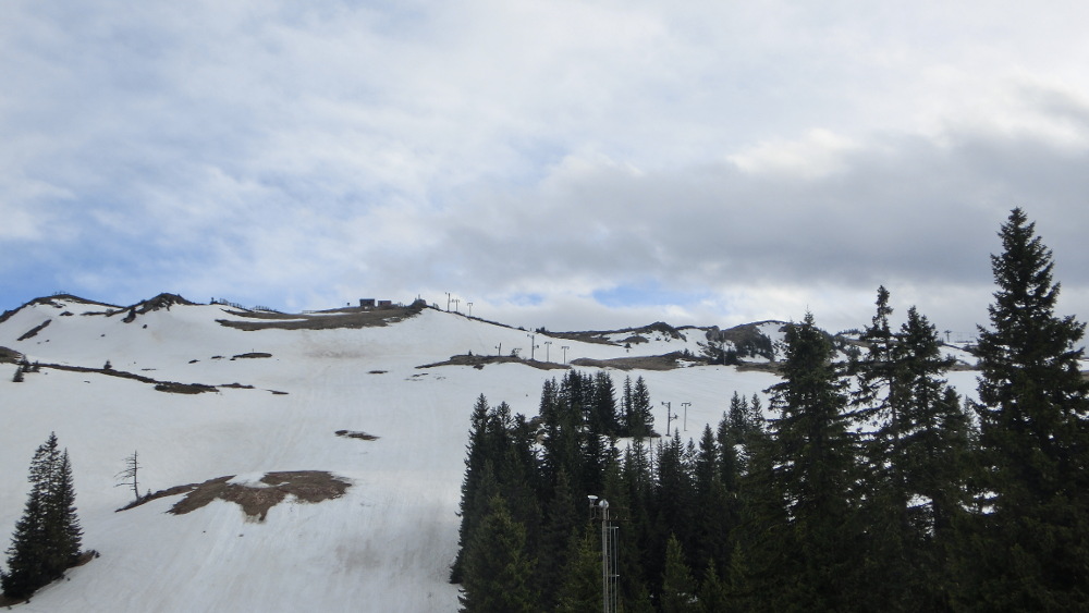 145750-wlf15.jpg