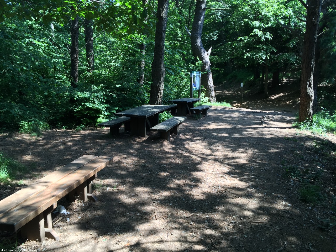 146542-img02671.jpg