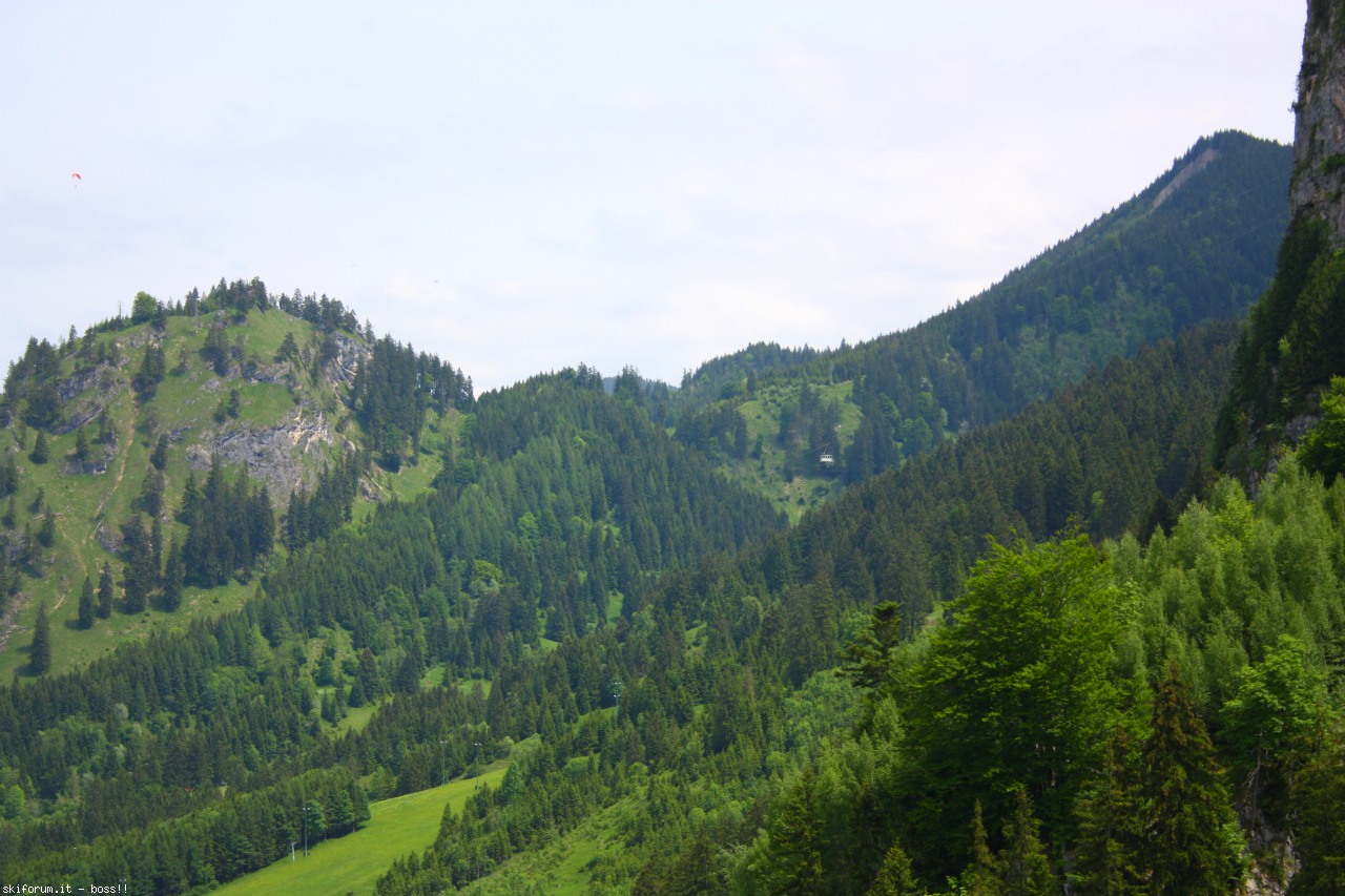 146597-img9456.jpg